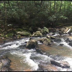 Meet your Posher, Lexie